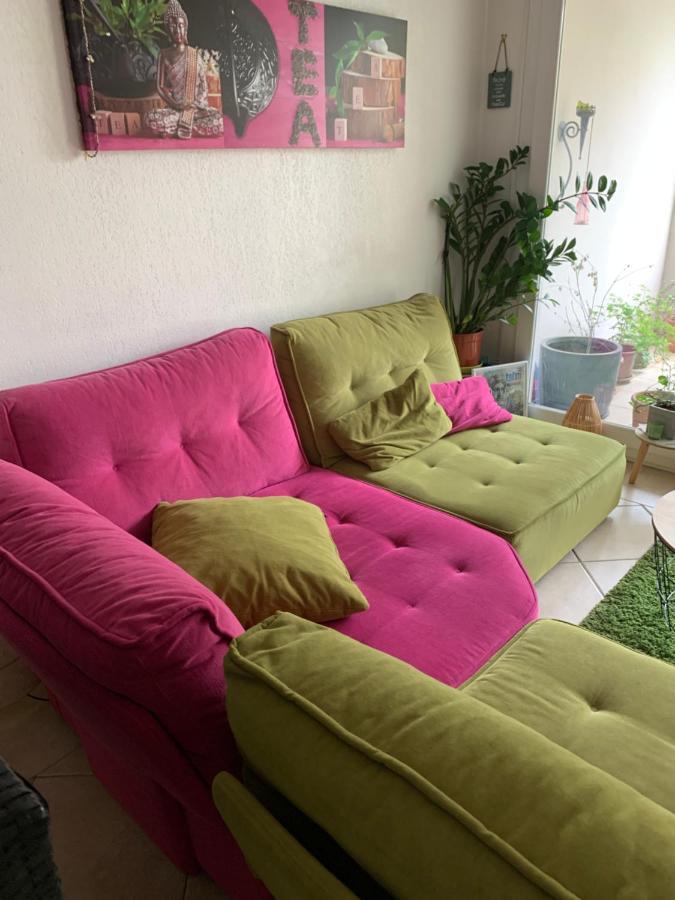 Votre Sejour Cosy A Frejus! Διαμέρισμα Εξωτερικό φωτογραφία