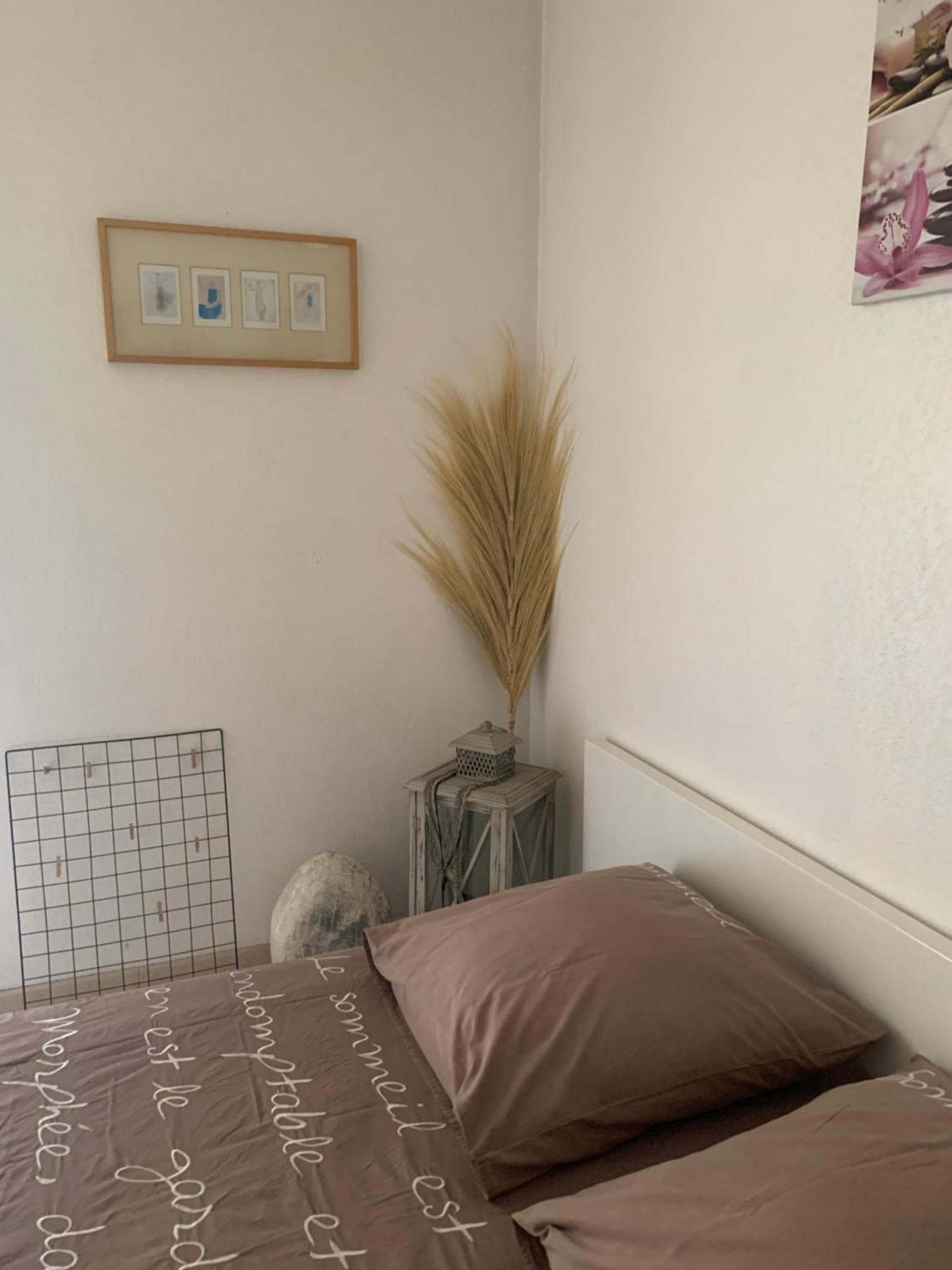 Votre Sejour Cosy A Frejus! Διαμέρισμα Εξωτερικό φωτογραφία